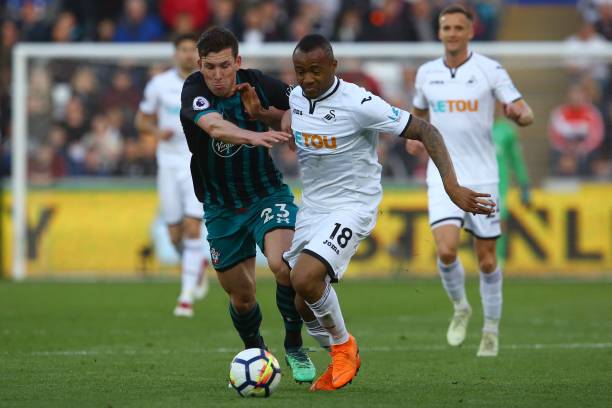 细致培养以 细致培养以