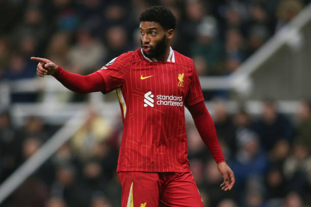 疑令勇士球 疑令勇士球